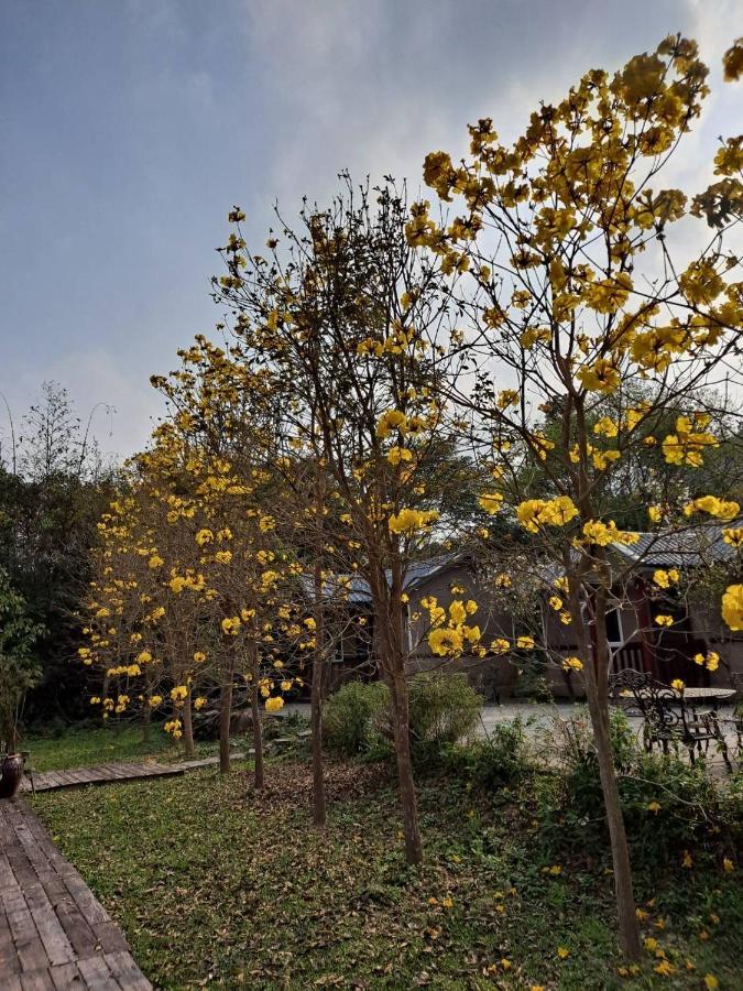 蓬萊生態農場仙山民宿 Nanzhuang Zewnętrze zdjęcie